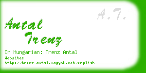 antal trenz business card